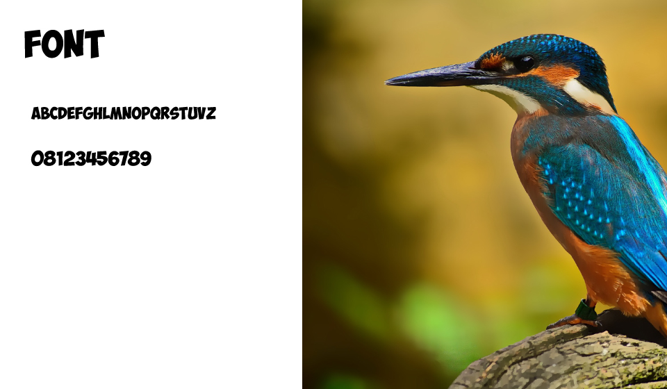 La Casa Degli uccelli